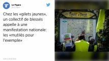 Gilets jaunes : des blessés créent un collectif et appellent à une manifestation nationale