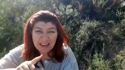 Para ti mujer , con todo mi amor y admiración