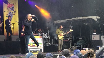 Sinsemilia vous souhaite Tout le bonheur du monde