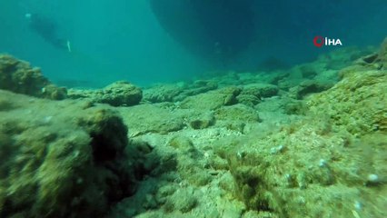 Üniversitelilerden otizme farkındalık dalışı