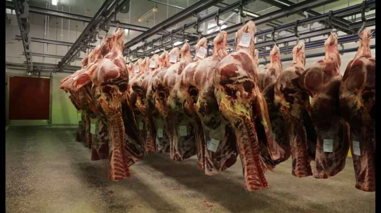 Rappel massif de viande contaminée chez Colruyt