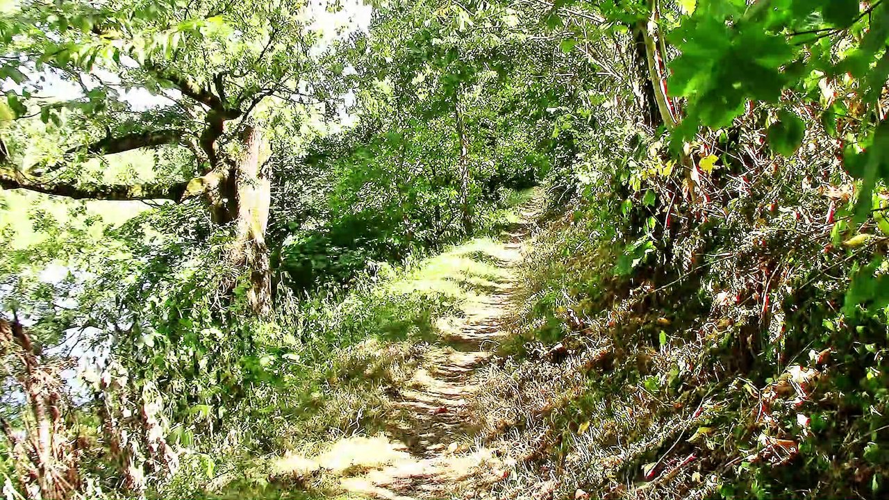 Auf großer Tour den Natursteig Sieg entlang 07 – 1