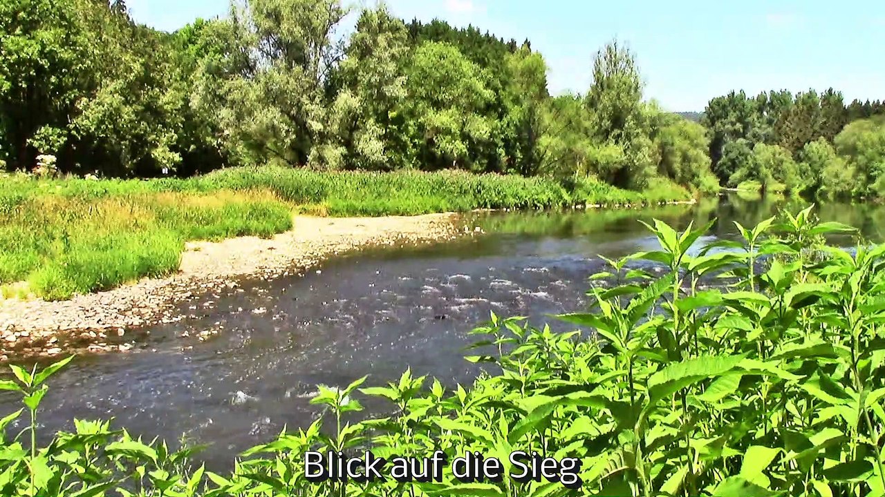 Auf großer Tour den Natursteig Sieg entlang 07 – 2