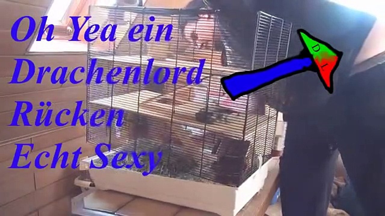 Vlog des Drachen 4 Hamster Alarm der Käfig muss Sauber sein