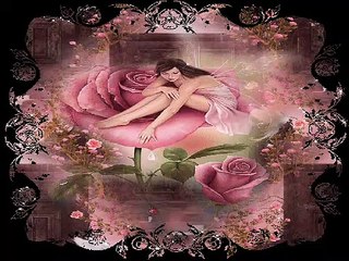 Les roses de Saint-Germain