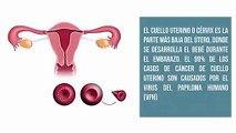 Daniel Esgardo Rangel Barón nos cuenta algunas causas del cáncer de cuello uterino