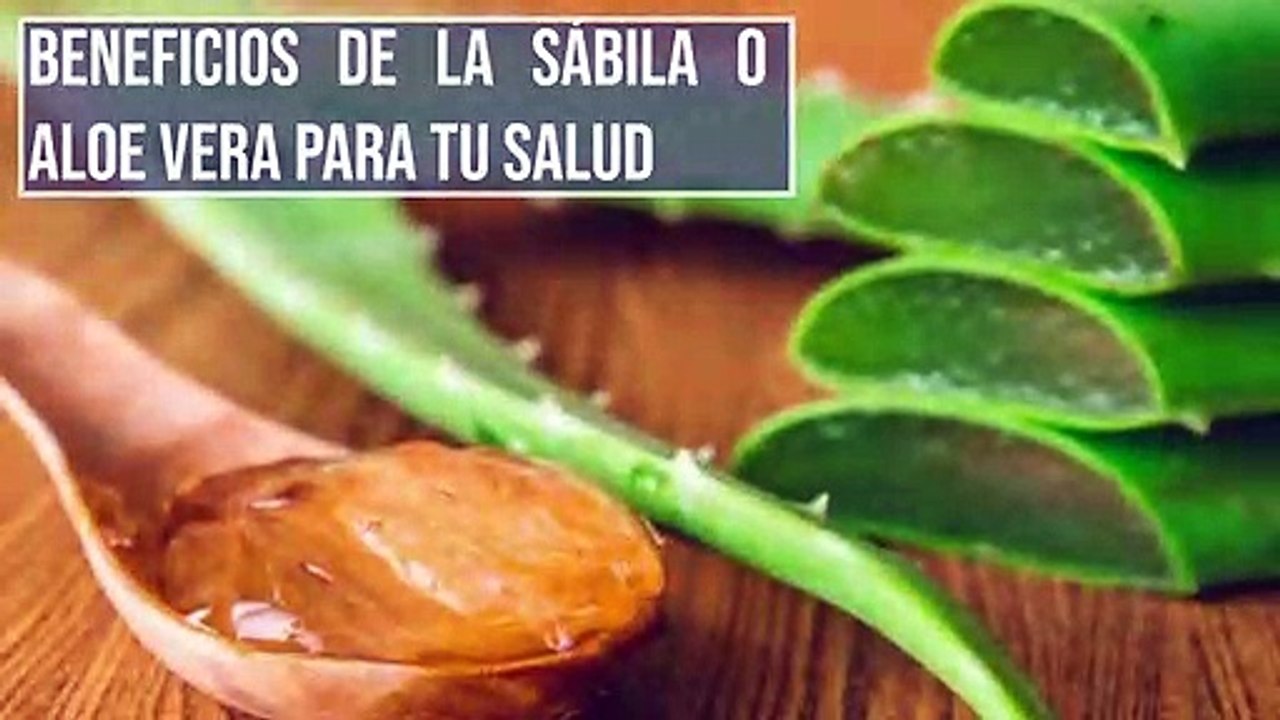 Daniel Esgardo Rangel Barón nos cuenta beneficios de la sabila para tu salud