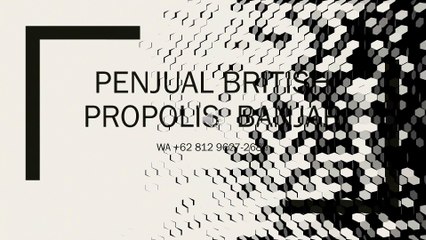 AMPUH, WA +62 812 9627-2689, Jual British Propolis Banjar