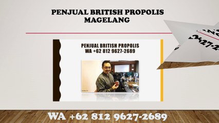 HALAL, WA +62 812 9627-2689 Jual British Propolis Magelang