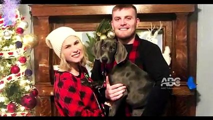 ഉടമ ഗർഭിണിയാണെന്നറിഞ്ഞ നായയുടെ അമ്പരിപ്പിക്കുന്ന ഭാവങ്ങൾ