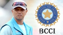 Rahul Dravid Will Need To Apply For NCA Head Coach Job After BCCI Announce For Applications