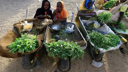 Les Émirats Arabes Unis volent au secours du Soudan