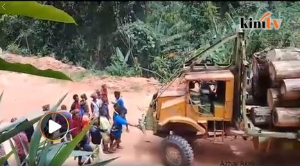 Video Penduduk Asli Halang Pembalakan Di Perak