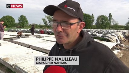 Le muguet se tient prêt pour le 1er mai