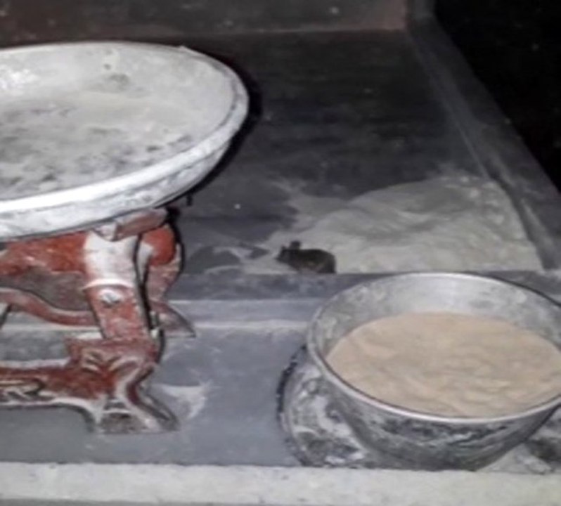 Fırında Mide Bulandıran Görüntü