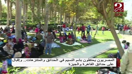 المصريون يحتفلون بشم النسيم في الحدائق والمنتزهات.. وإقبال على حدائق القاهرة والجيزة