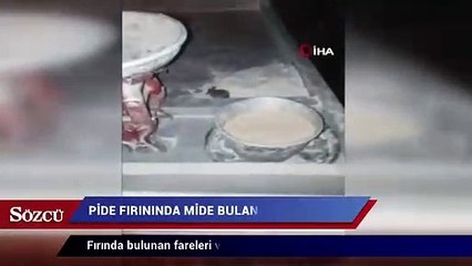 Скачать видео: Pide fırınında mide bulandıran görüntü