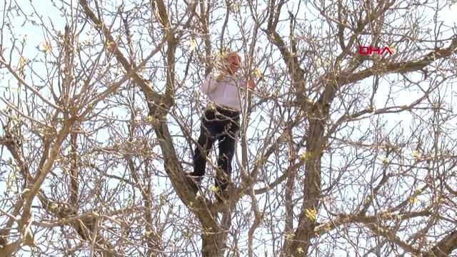 Kastamonu Cep Telefonu ile Konuşmak İçin Minare, Ağaç ve Çatılara Çıkıyorlar