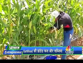गांव के लोग शुरू कर सकते हैं इस तरह की खेती, होगी अच्छी कमाई!