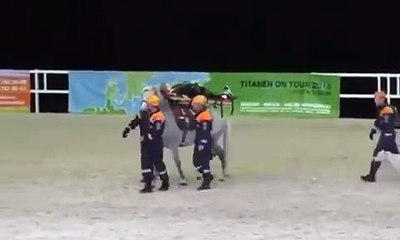Ce transport de blessé par cheval a très mal tourné