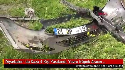 Diyarbakır ' da Kaza 4 Kişi Yaralandı, Yavru Köpek Aracın Altında Kaldı