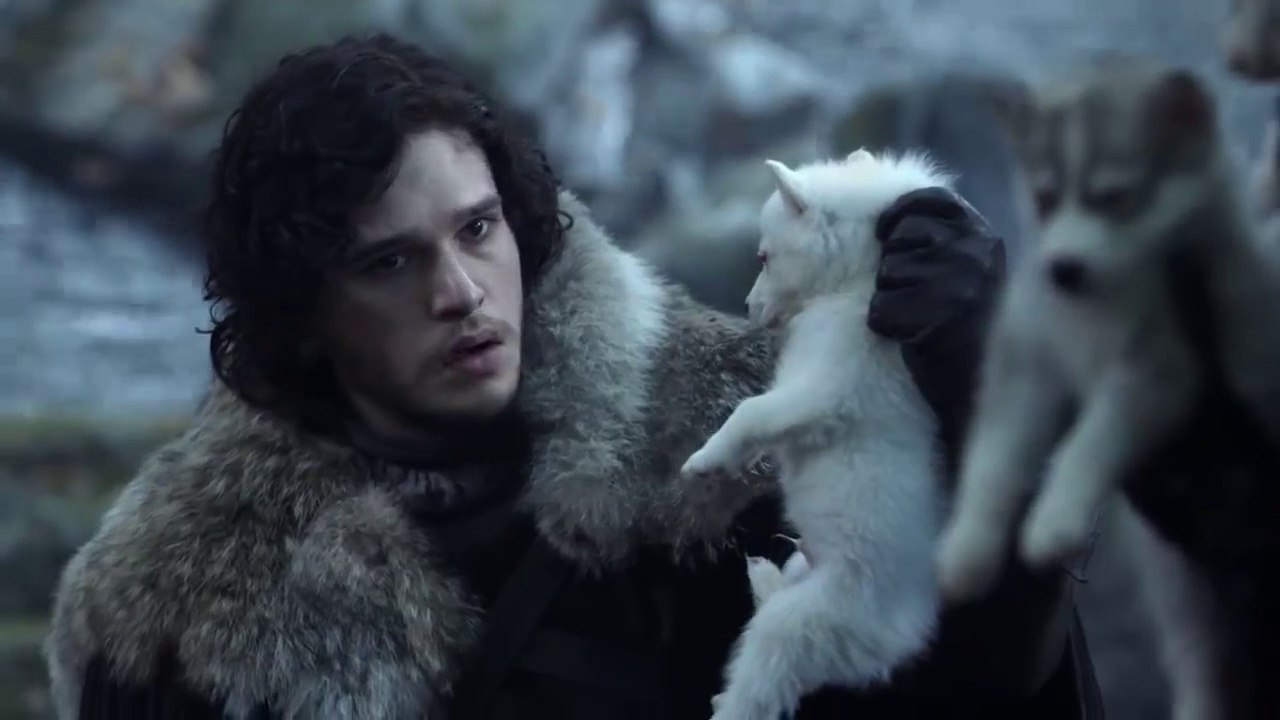 Starks find the Direwolves Pups!