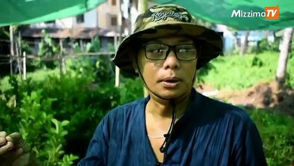 ပုသိမ္ၿမိဳ႕တြင္ အိမ္တိုင္ရာေရာက္ အပင္လိုက္ စိုက္ပိ်ဳးေပးမႈမ်ား စတင္လုပ္ေဆာင္