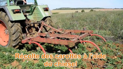G BRIQUE passage chiesel pour récolte