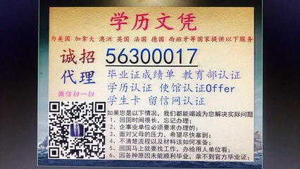 办澳洲毕业证（q微56300017）USQ文凭/南昆士兰大学毕业证书成绩单/申请办理使馆认证留信网认证offer