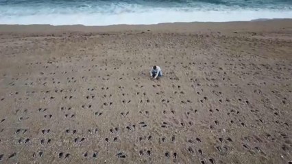 Slapton Sands: Αποτυπώματα στην άμμο στην μνήμη 749 στρατιωτών