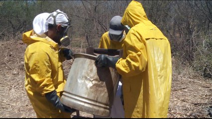 US fentanyl crisis: Mexican cartels push opioid assembly