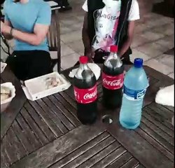 Stopmotion With Friends - GRAFINX