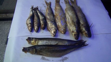 طرق لمعرفة الفسيخ الجيد من الفاسد