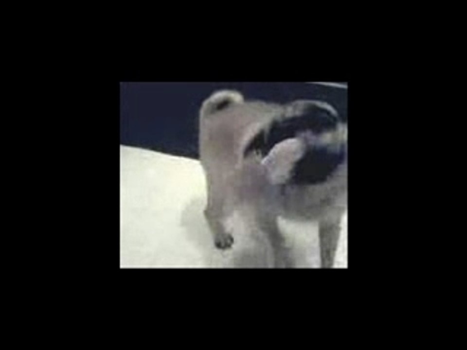 Does the (Dream Team MLM) System really work??