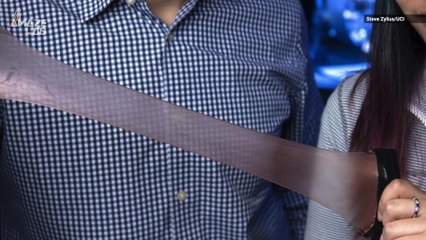 Scientists Have Created A New Space Blanket Inspired By Squid Skin