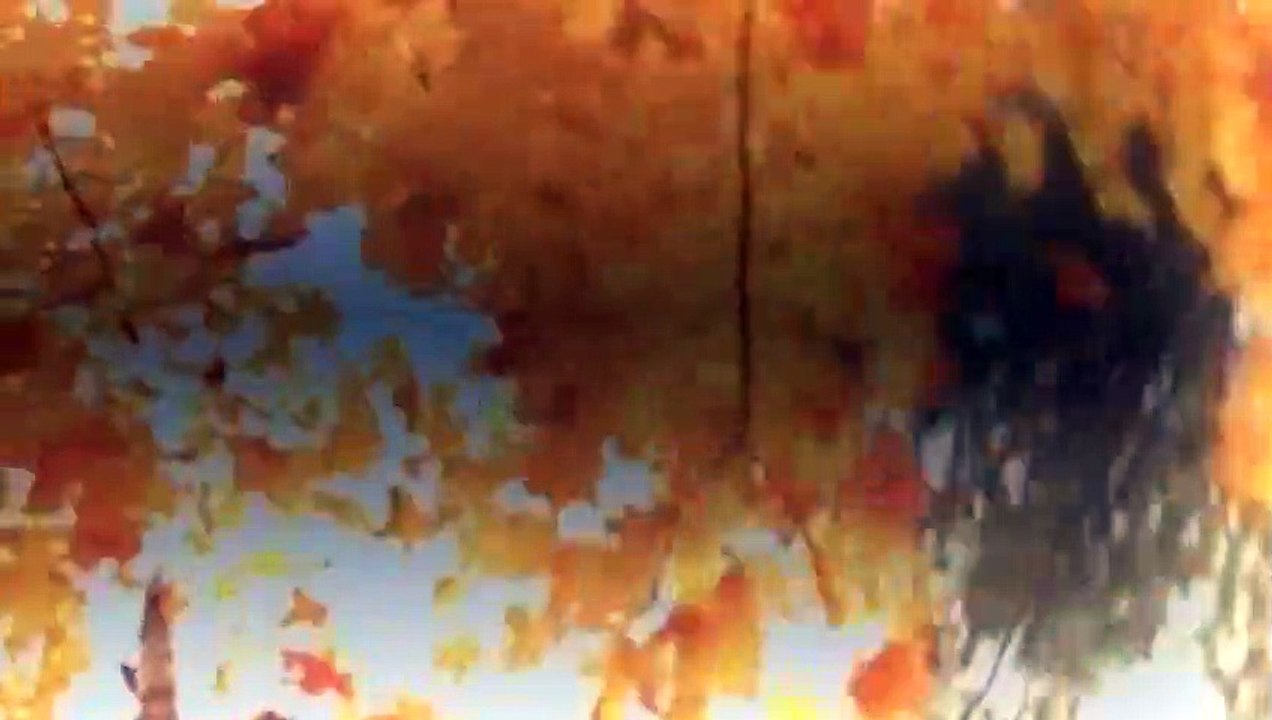 Relic Hunter S02xxE15 Run Sydney Run