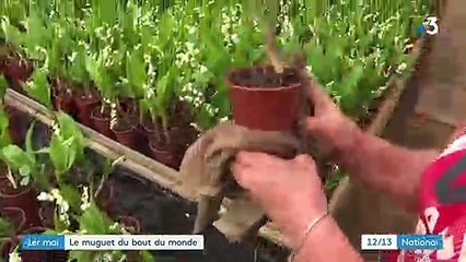 1er-Mai : du muguet aux quatre coins du monde