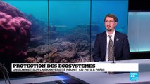 Protection des écosystèmes : un sommet sur la biodiversité réunit 132 pays à Paris