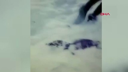 Diyarbakır Afganların 'Umut' Yolculuğu; Bazıları Öldü, 200'den Fazlası Diyarbakır'da