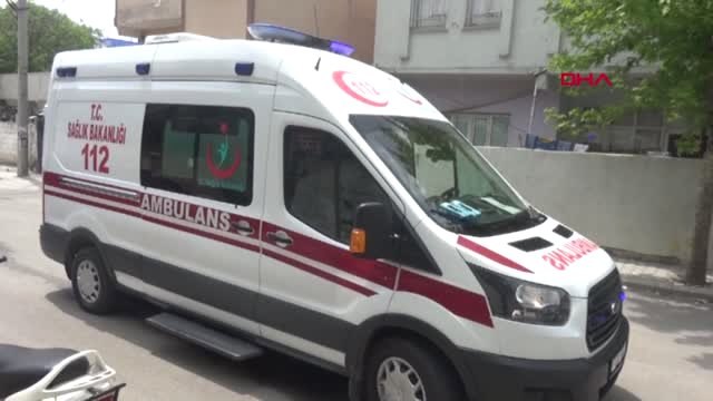 Batman'da Bulunan Kabuğu Kırık Kaplumbağaya İstanbul'da Tedavi