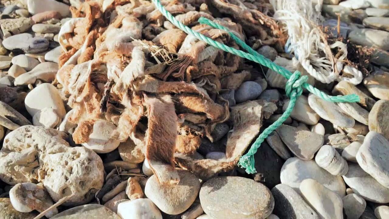 Carlos Luis Michel Fumero sobre el reciclaje y el emprendimiento