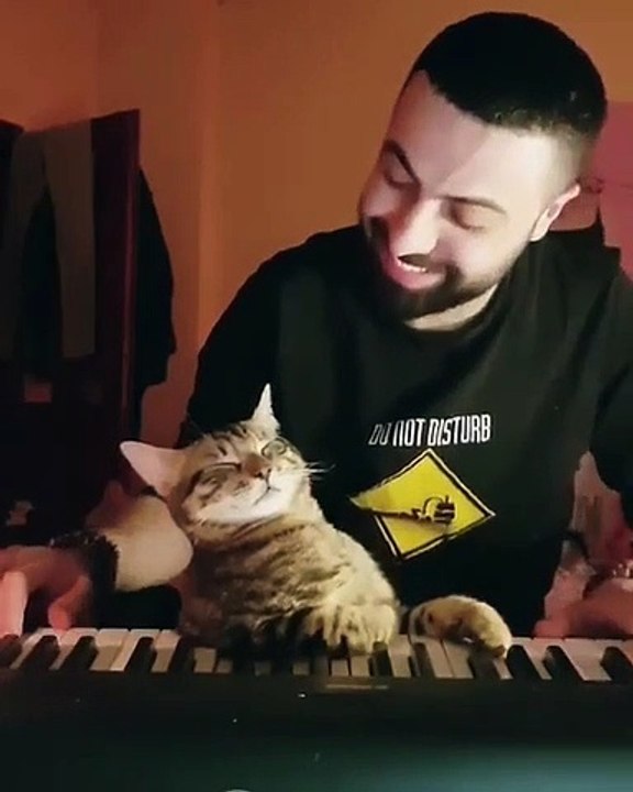 Cet homme joue du piano pour son chat. Sa réaction est émouvante !