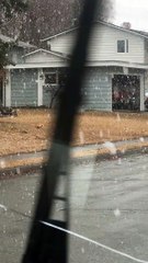 Guy Mows Grass in Snow Storm