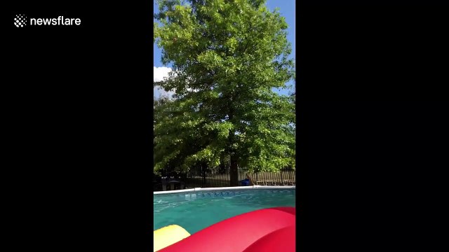 Chicago grandma spends whole summer slipping off pool floats