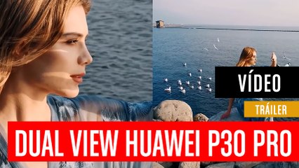 Huawei P30 Pro Dual-View