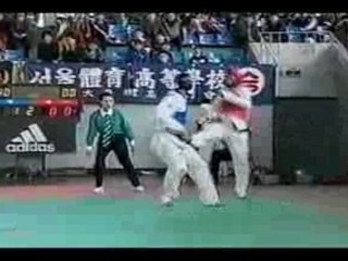 BEST TAEKWONDO KNOCKOUTS (Andre Lima)
