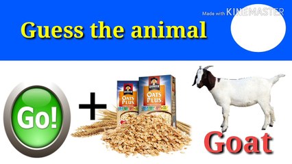 Iq test ! Brain game ! Only for genius can you guess the animal by emoji !