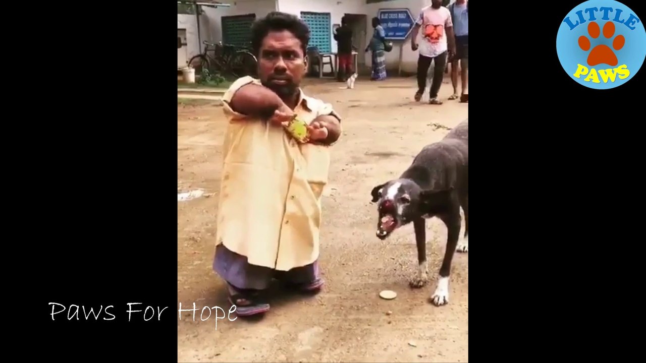 TOP Animal Heartbreaking, Emotional/ Inspiring Will Melt Your Heart Compilation