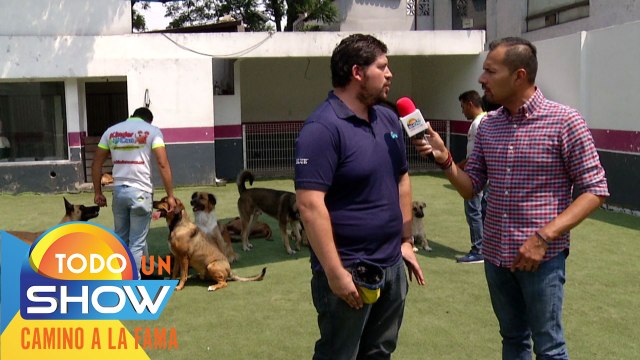 ¡También nuestros amigos perrunos regresaron a clases! Conoce esta escuela para perros.