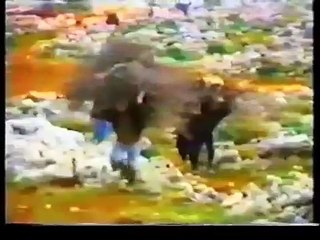 الدكتور عبد العزيز الرنتيسي مرج الزهور  قصيدة رائعة